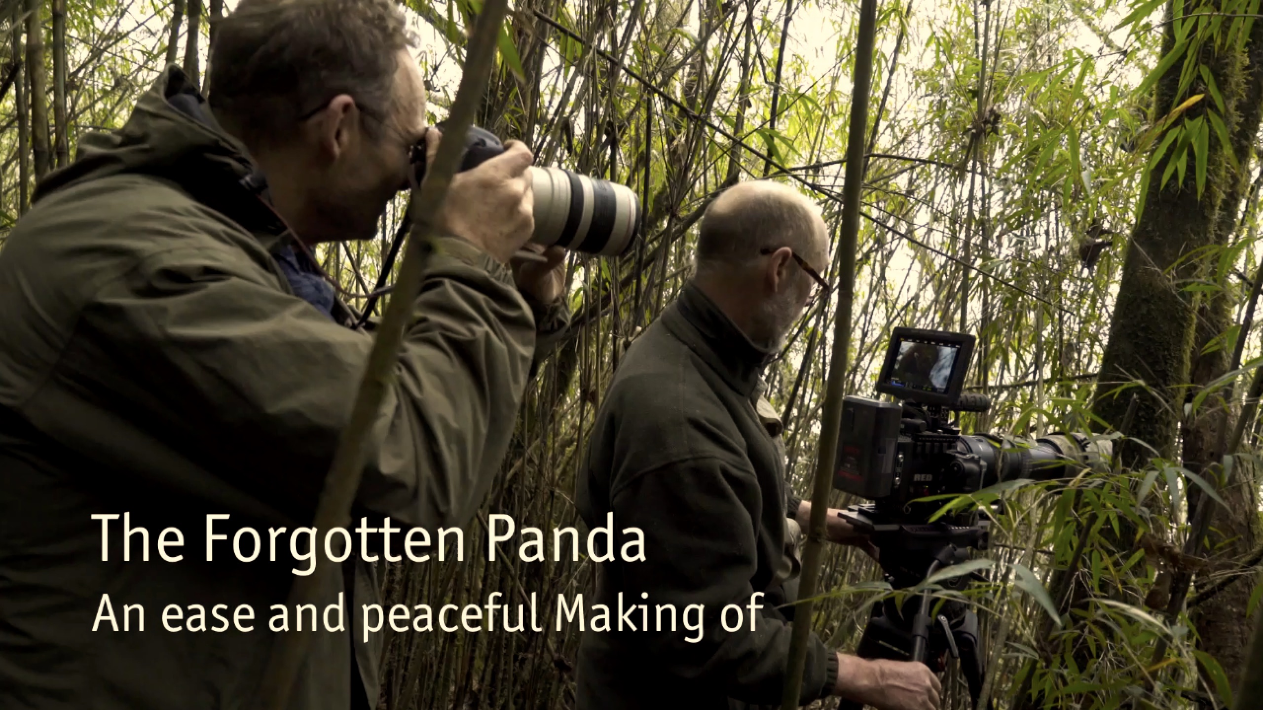 The forgotten Panda - Axel Gebauer – Wildlife Filming & Photography